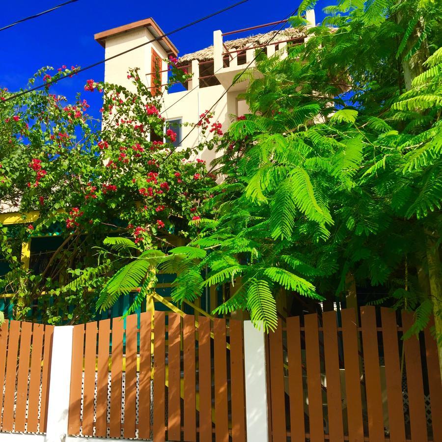 Yocamatsu Bed & Breakfast Caye Caulker Dış mekan fotoğraf